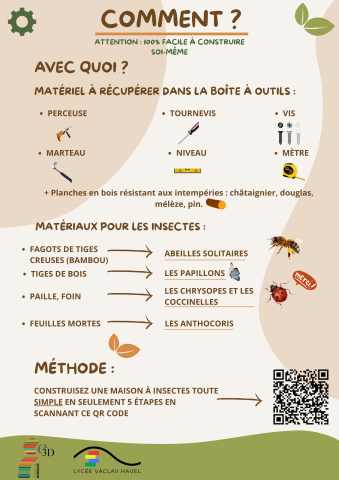 maison insectes