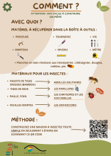 maison insectes