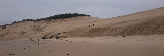 Dune du Pyla