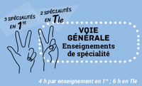 Enseignements de spécialité